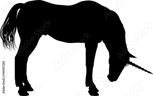 Unicorn Silhouette Horned H...