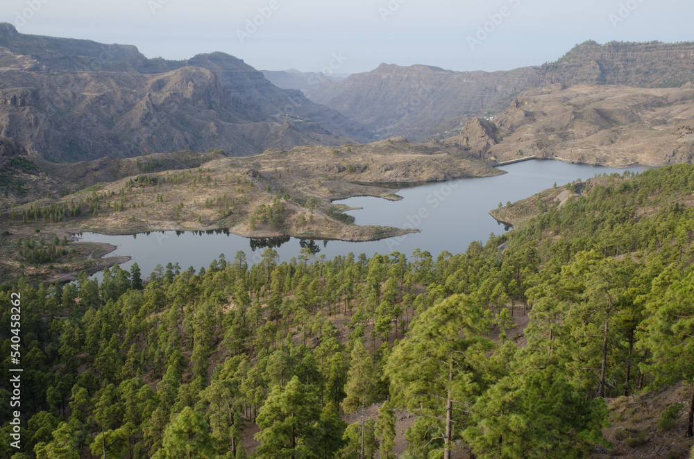 Las Ninas dam. The Nublo Rural Park. Gran Canaria. Canary Islands. Spain.