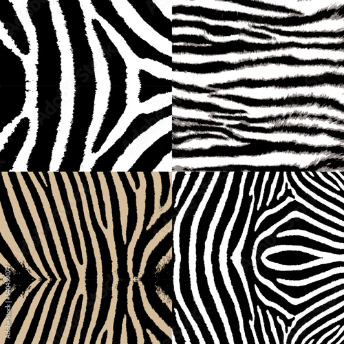 Zebra print texture collection.Zebra skin texture set
