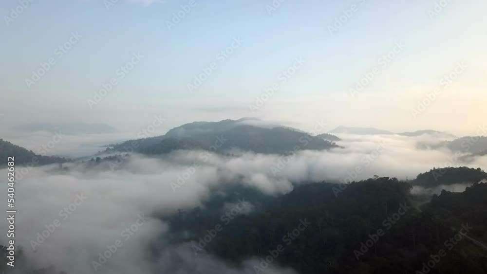 Stunning aerial view of the steep slopes and dense forests. Drone flight above low-hanging clouds blanketing a valley view from left to right Stunning aerial view of the steep slopes and dense forests. Drone flight above low-hanging clouds blanketing a valley view from left to right