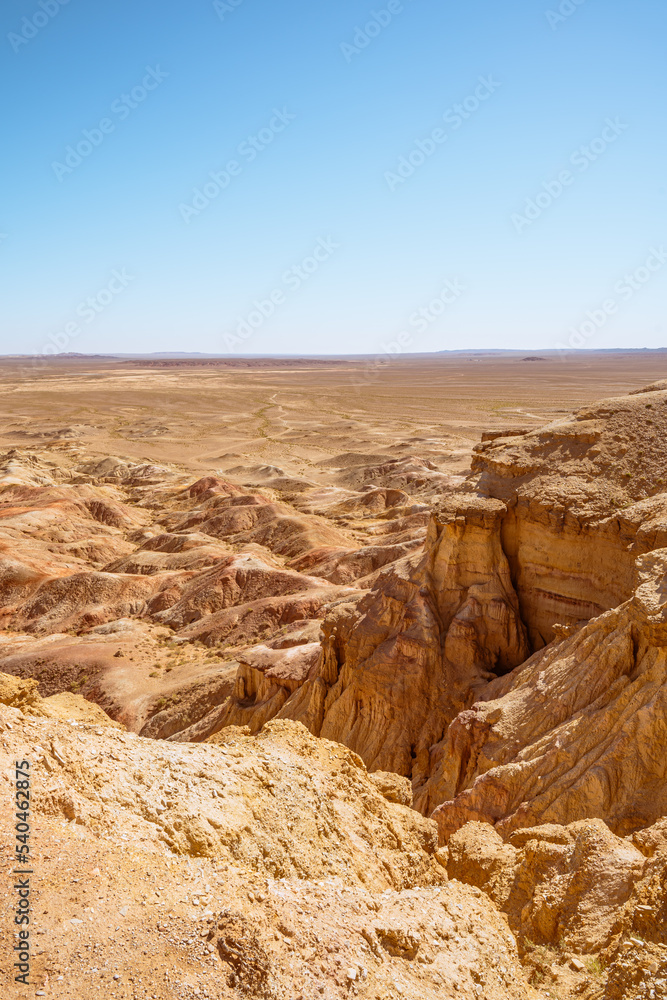 landscape in the desert