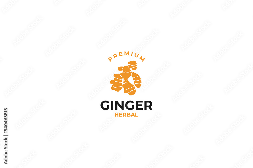 Obraz premium Ginger logo design vector template illustration