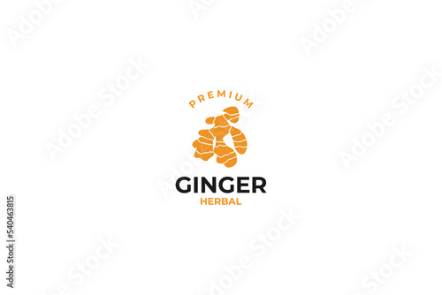 Ginger logo design vector template illustration