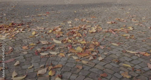 Autumn leaves on cobblestones are blown away from the wind