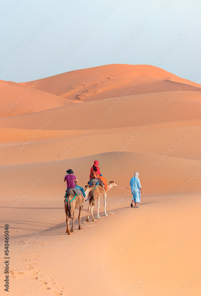 Fototapeta premium A woman in a red turban riding a camel across the thin sand dunes of the in Western Sahara Desert, Morocco, Africa
