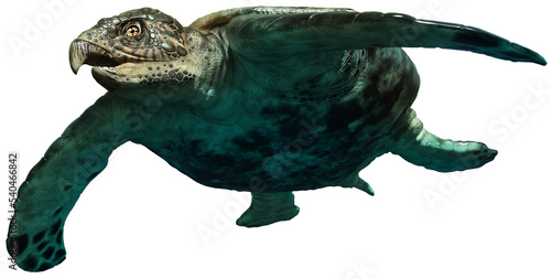Принти на полотні Archelon prehistoric turtle 3D illustration