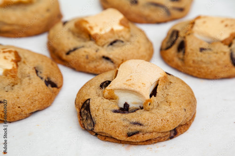 Delicious chocolate chip cookie with marshmallow, S'mores