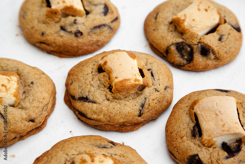Delicious chocolate chip cookie with marshmallow, S'mores Delicious chocolate chip cookie with marshmallow, S'mores