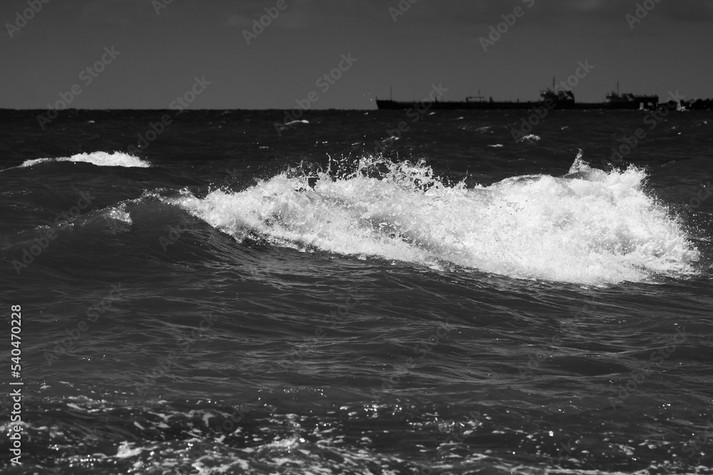 sea waves with foam. black and white beach photography