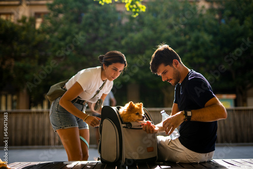 Couple feeding and watering pets with a carrier bag photo