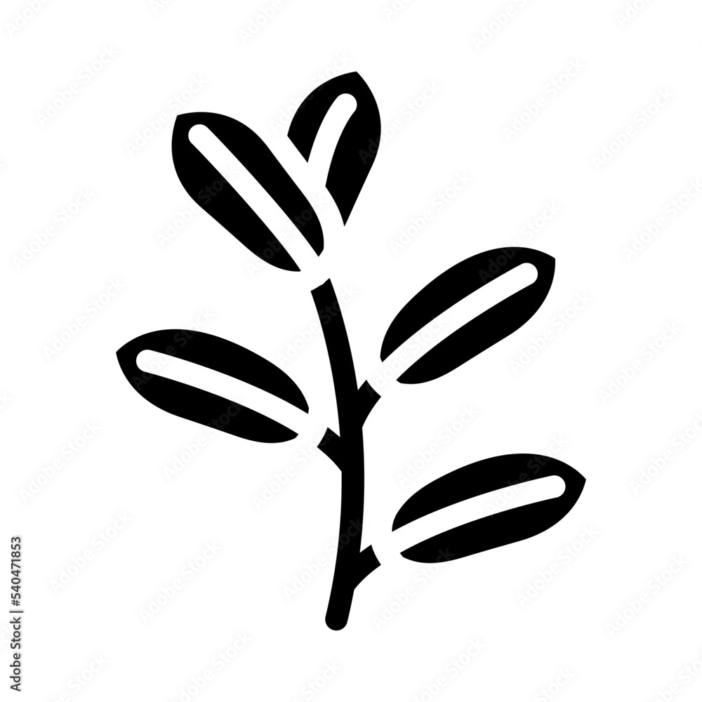zamioculcas tropical leaf glyph icon vector. zamioculcas tropical leaf sign. isolated symbol illustration zamioculcas tropical leaf glyph icon vector. zamioculcas tropical leaf sign. isolated symbol illustration