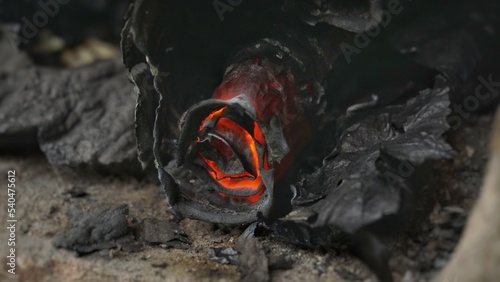 Burnt paper rosette smolders photo