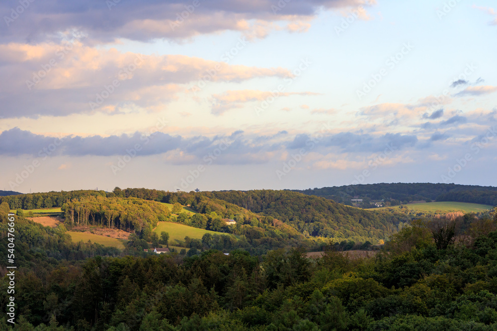German Forest Landscape in Langenberg, North Rhine-Westphalia
