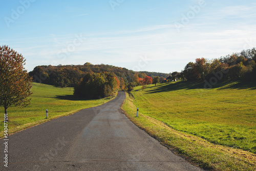 Country road in beautiful natural surroundings.Autumn season.