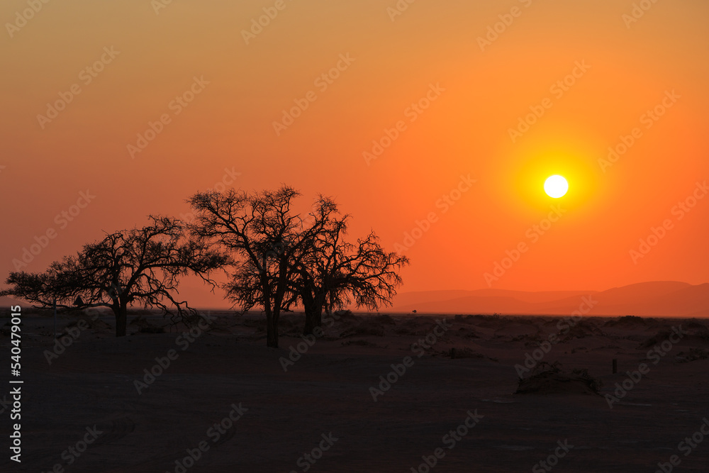 Sunrise over Sossusvlei, the Namib-Naukluft National Park of Namibia.