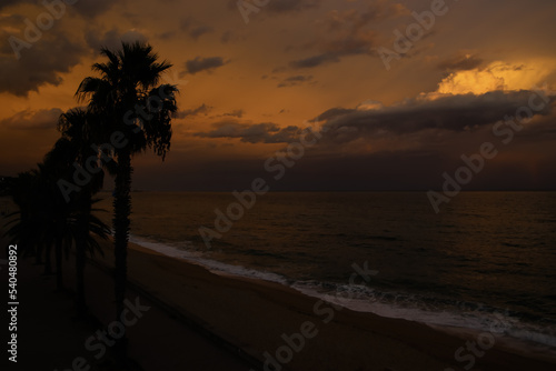 Vistas de unas palmeras y el mar al atardecer después de una fuerte tormenta