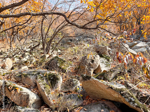 Mountains in the gorge of the Cheeks of the Dardanelles in October in sunny weather. Russia, Primorsky Krai, Partizansky district photo