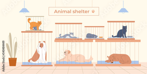 Animal shelter with pets in cages. Cartoon dogs and cats sheltered. Funny fluffy kitten, dog sleep. Volunteering and adoption kicky vector concept