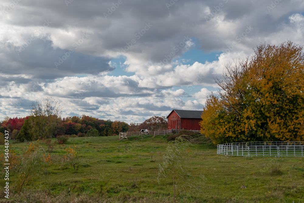 Obraz premium Autumn Farmhouses