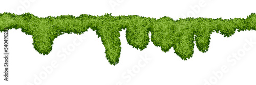 фотографія Long horizontal seamless swamp moss pattern on white background
