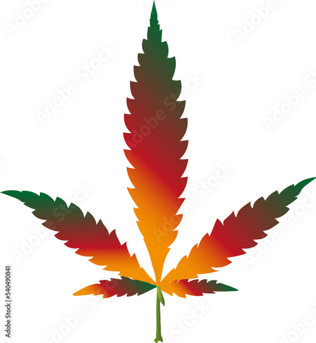 leaf of a tree marijuana vektor design 