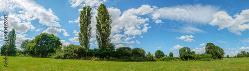 Panorama of a green meadow on a sunny day in spring.