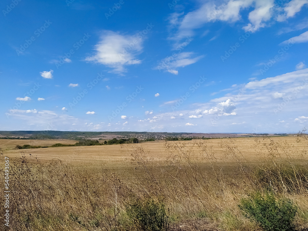 Large field after harvesting the wheat, blue sky on the horizon, Danube plain, Bulgaria.