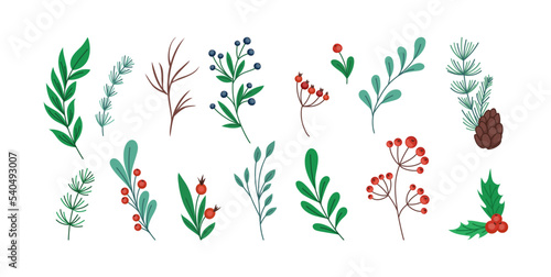 Christmas branch. Holly twig. Pine stems and cones. Hand drawn winter plant sketch. Mistletoe leaves and flowers. Rowan berries. Doodle floral botanical. Vector illustration elements set