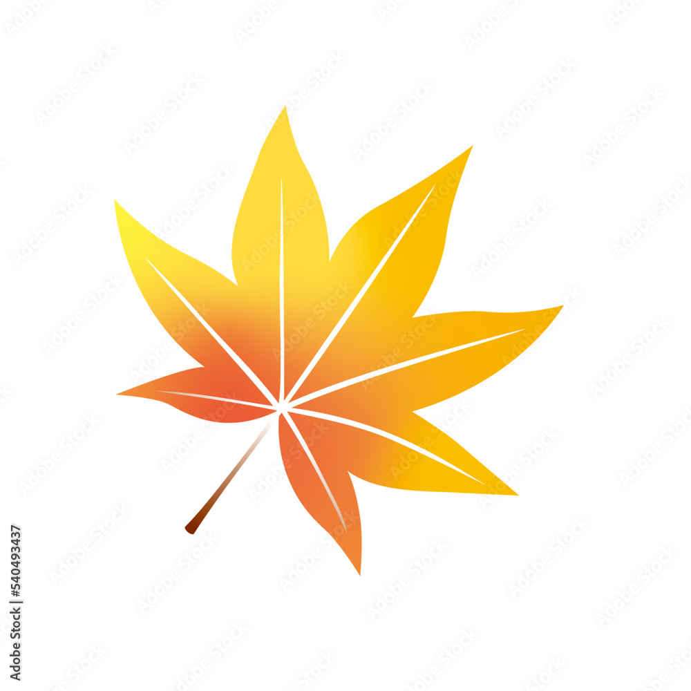 紅葉、もみじ、秋、葉、木の葉、季節、四季 紅葉、もみじ、秋、葉、木の葉、季節、四季