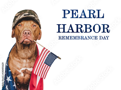 Bild auf Leinwand Pearl Harbor Remembrance Day