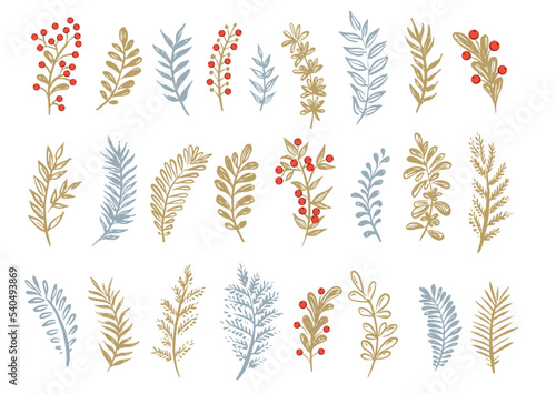 Branches collection hand drawn  vector.  