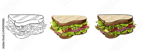 vector set of sandwiches hand drawn, drawing in outline and in color. food vector illustration
