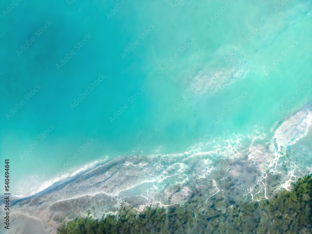Top view or Aerial view of tropical island forest and emerald clear water