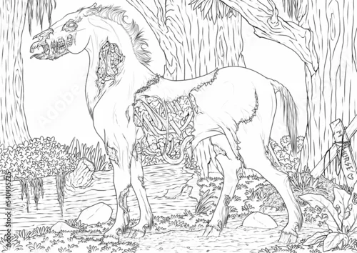 Fototapeta Zoombie Koń A4