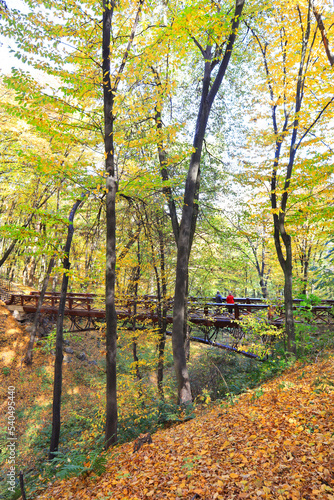 Bridge in autumn park in Mezhyhirya (former ex-president residence of President Yanukovych) in Kyiv region, Ukraine 