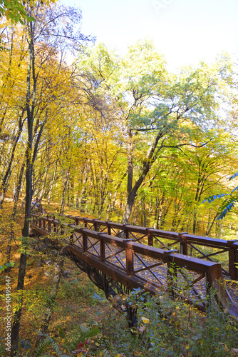 Bridge in autumn park in Mezhyhirya  former ex-president residence of President Yanukovych  in Kyiv region  Ukraine 
