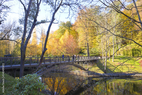 Bridge in autumn park in Mezhyhirya (former ex-president residence of President Yanukovych) in Kyiv region, Ukraine  © Lindasky76