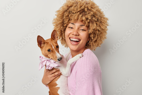 Positive curly female owner poses with pedigree basenji dog embraces pet expresses love and care wears knitted pink jumper isolated over white background. Domestic animals and veterinary concept photo