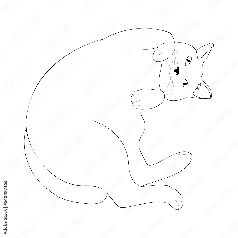 Cat outline icon. Abstract design element isolated