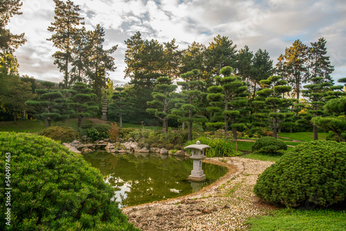 Idyllic landscape in Dusseldorf  in the japanese garden - topiary pine trees, grass, and garden pathes
