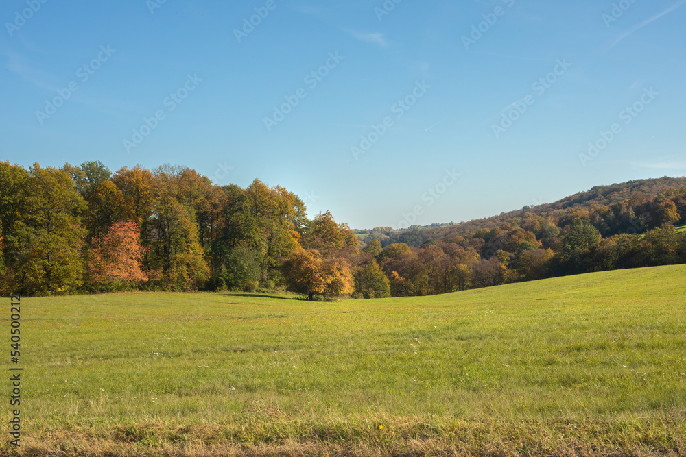 Green meadow on a sunny day in autumn.Colorful trees in background. Green meadow on a sunny day in autumn.Colorful trees in background.