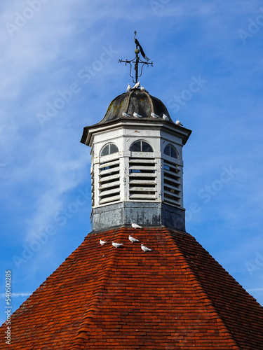 roof of a dovecote with white doves photo