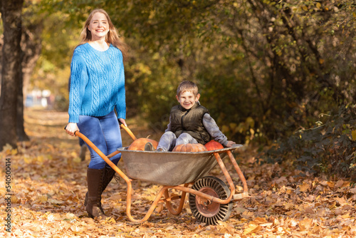 Mother have fun time with kids, use garden wheelbarrow