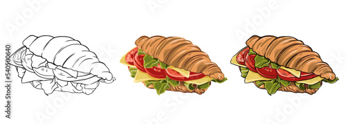 vector set of croissants sandwiches hand drawn, drawing in outline and in color. food vector illustration