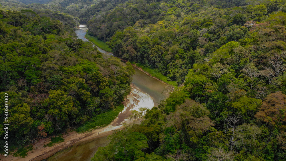beautiful view of river in the forest, aerial shot beautiful view of river in the forest, aerial shot