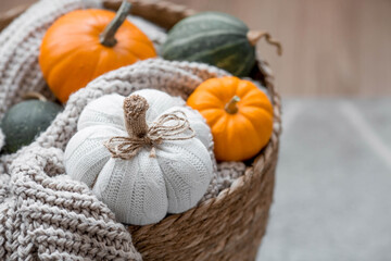 Still-life. Knitted pumpkin, orange pumpkins, beige knitted plaid in a homemade wicker basket. Cozy autumn concept. Home decor.