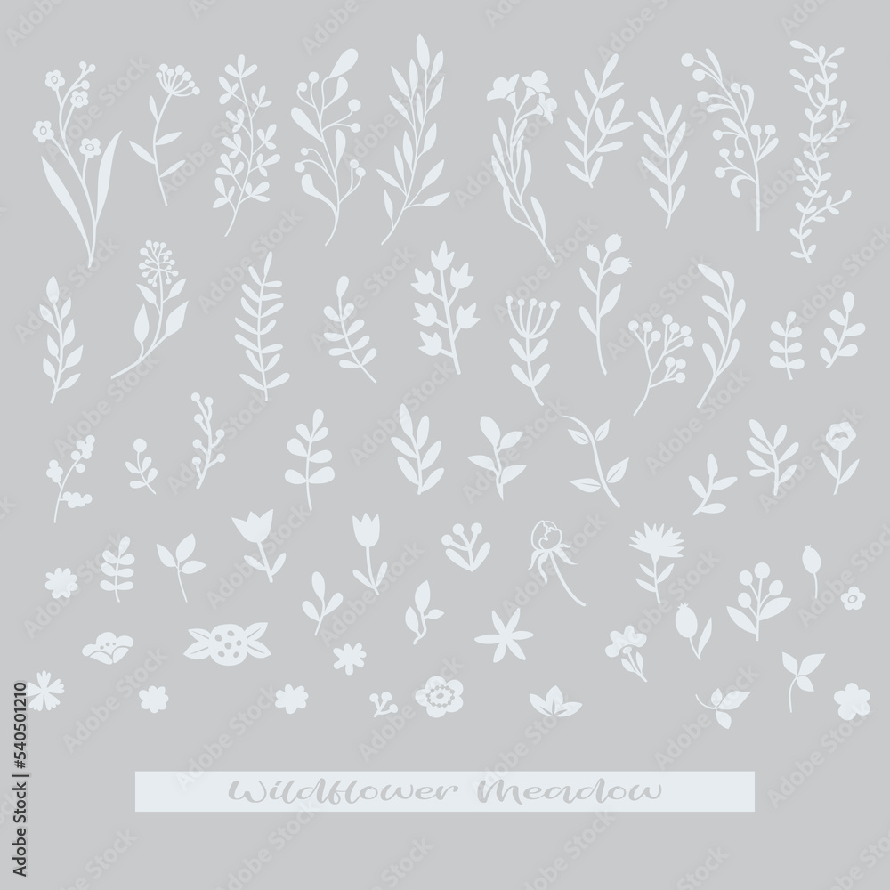 Fototapeta premium Grasses, herbs, flowers, leaves, various wild plants big collection, vector illustration. Simple solid one color design. Garden, meadow, flowerbed botanical isolated elements. Floral icon, logo