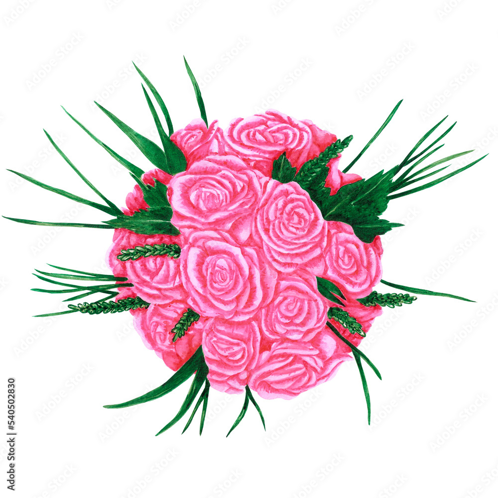 Handdrawn Watercolor pink roses composition on the white background