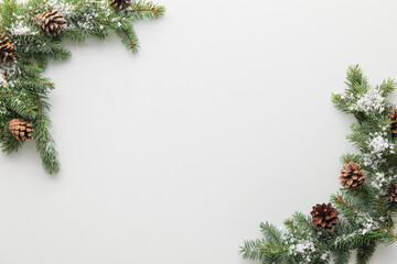 Fir tree branches with pine cones and snow on white background