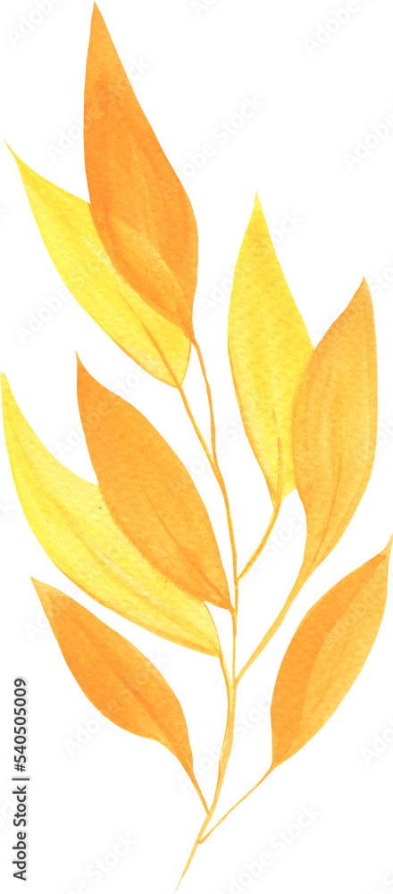 Yellow Watercolor Autumn Leaf Yellow Watercolor Autumn Leaf
